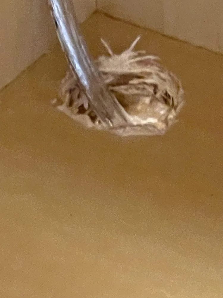 Slide of Full Circuit Electric