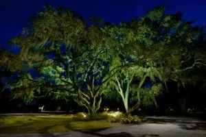 Affordable outlet and switch repair in St Simons, GA by Full Moon Lighting & Electrical