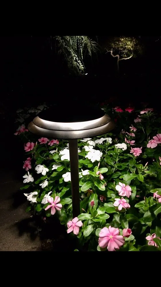 Slide of Full Potential Electric