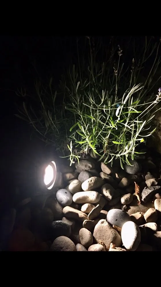 Slide of Full Potential Electric