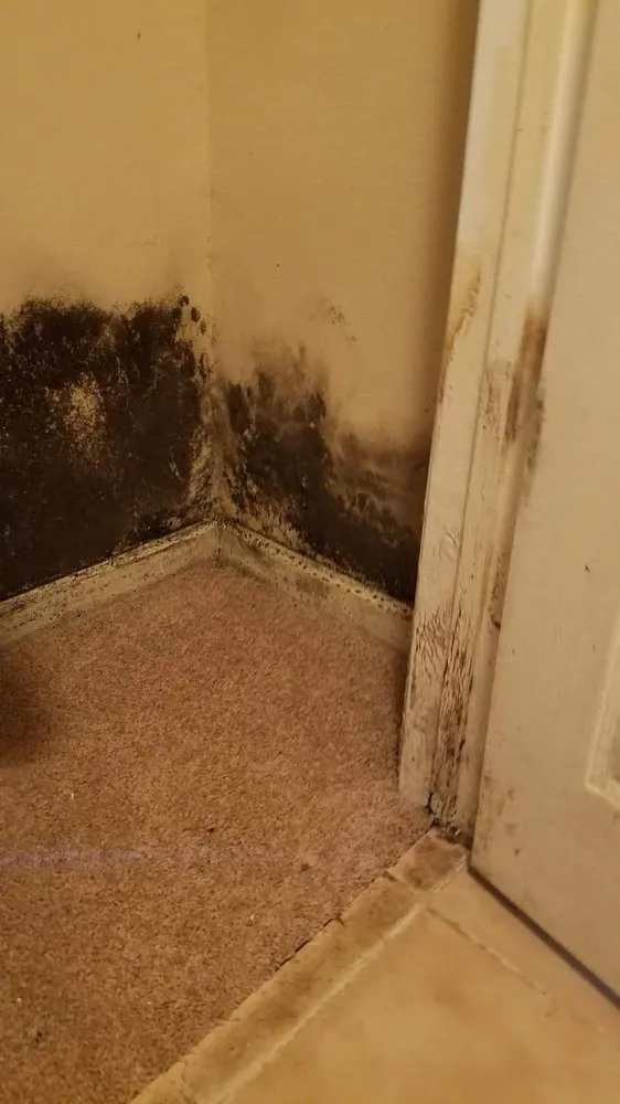 Slide of Fuller Specialties