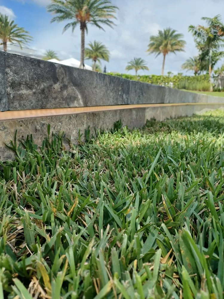 Slide of Fulton Electric