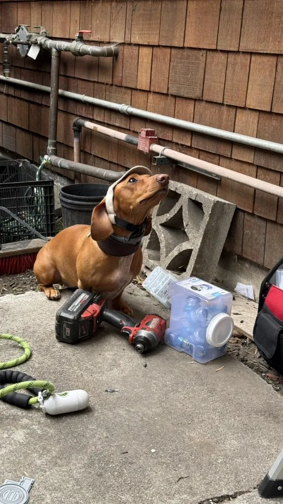 Slide of Fuse HVAC & Appliance Repair