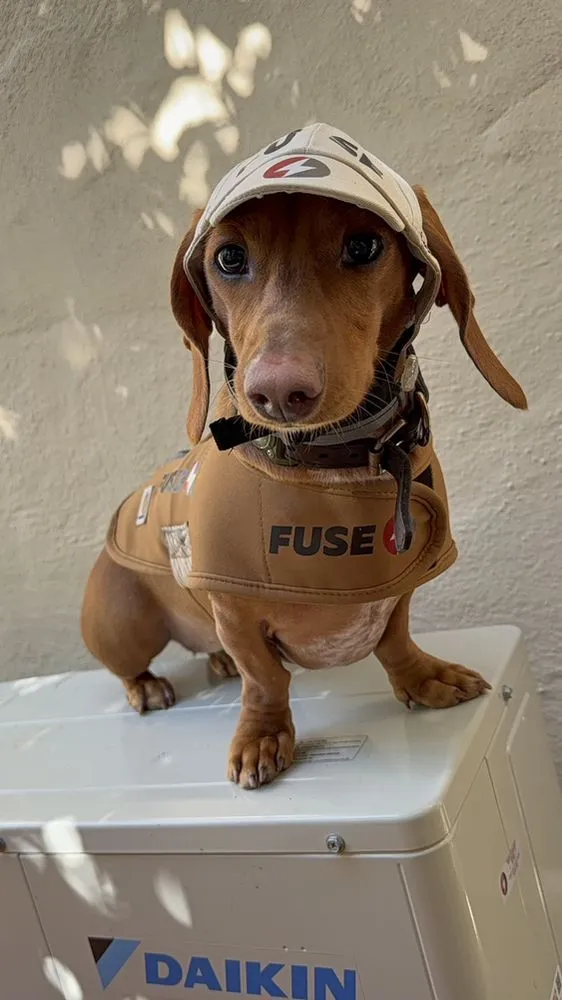 Slide of Fuse Service