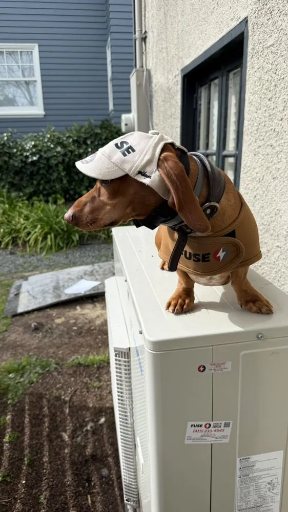 Slide of Fuse Service