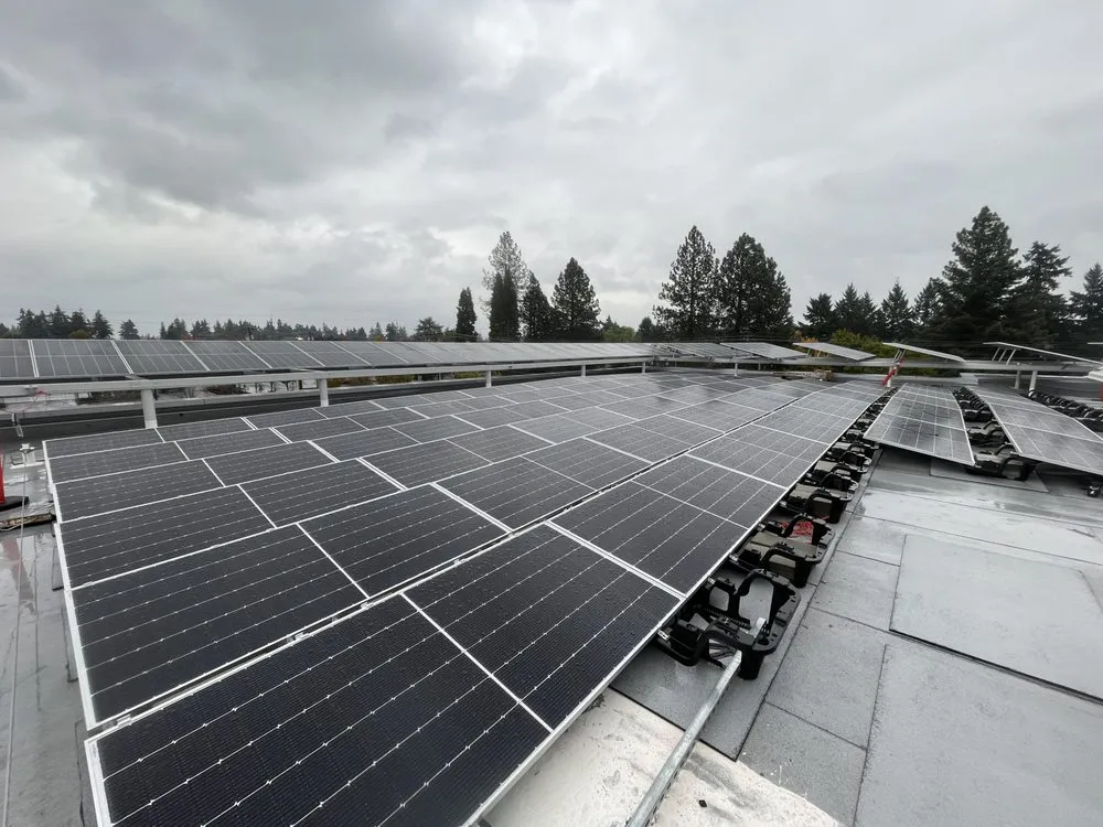 Slide of Future Electric