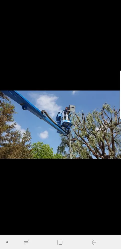 Slide of G. E. Shears Electric