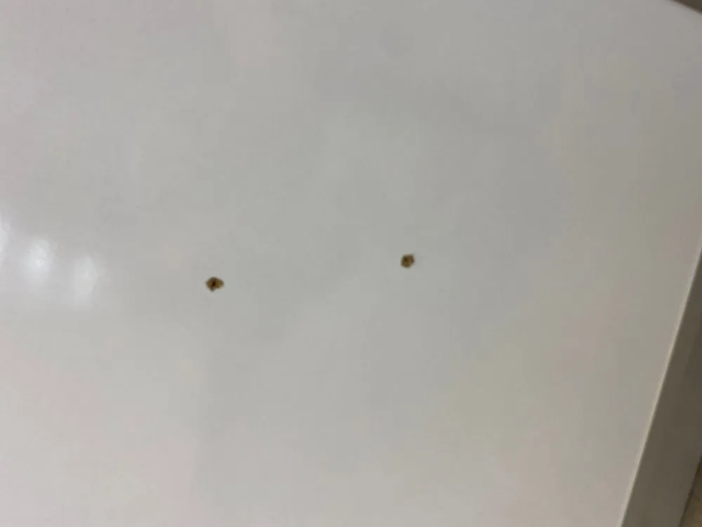 Slide of G4 Electric