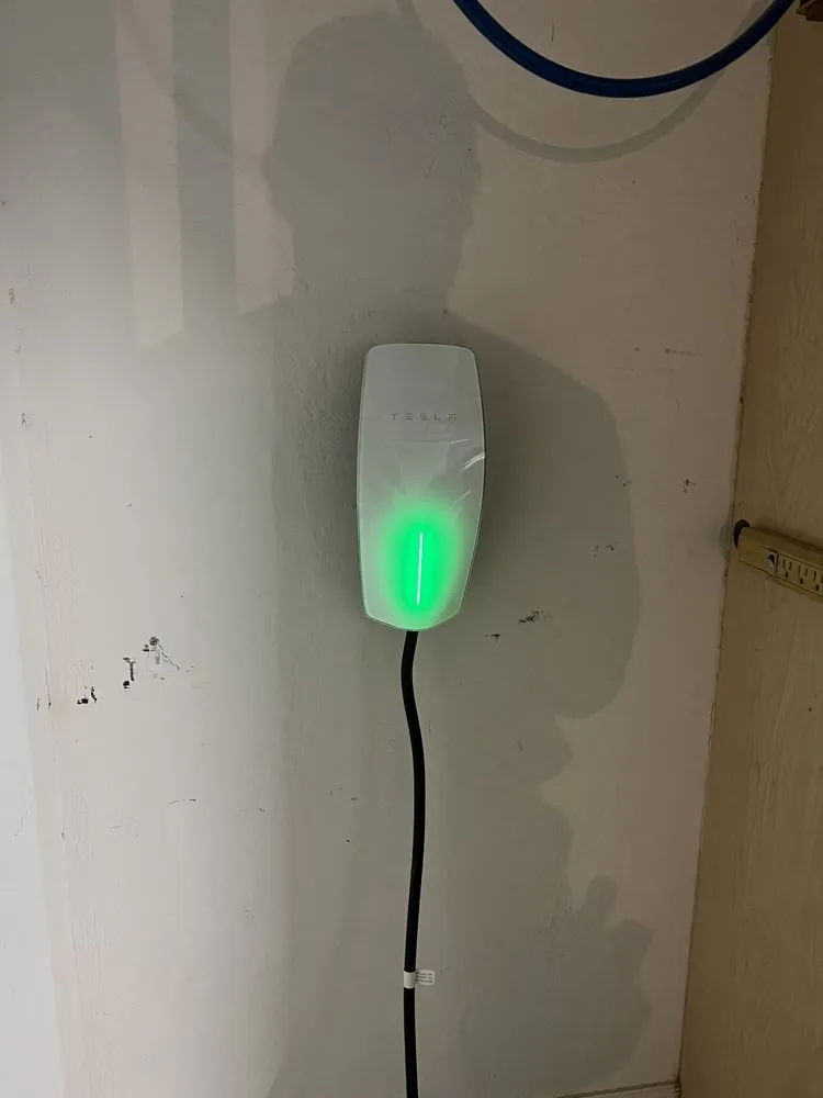 Slide of Gabs Contracting