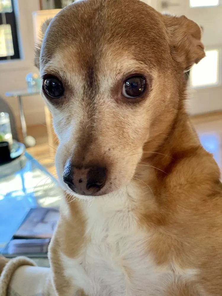 Slide of Galaxy Electric & Solar