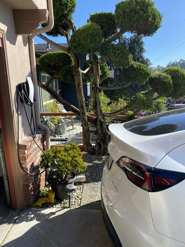 Slide of Galectric Energy