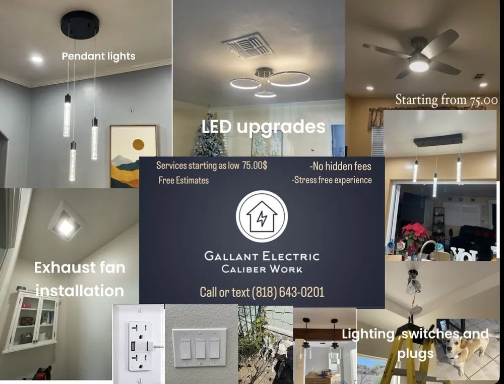 Slide of Gallant Electric