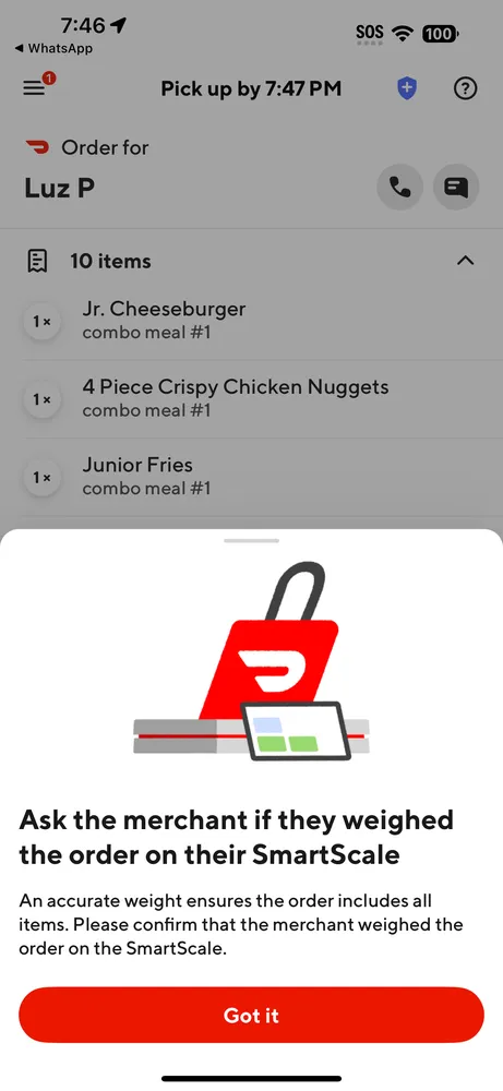 Slide of Galvani Small Repair