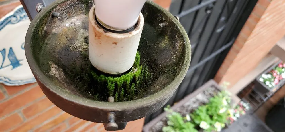 Slide of Gambi Electric