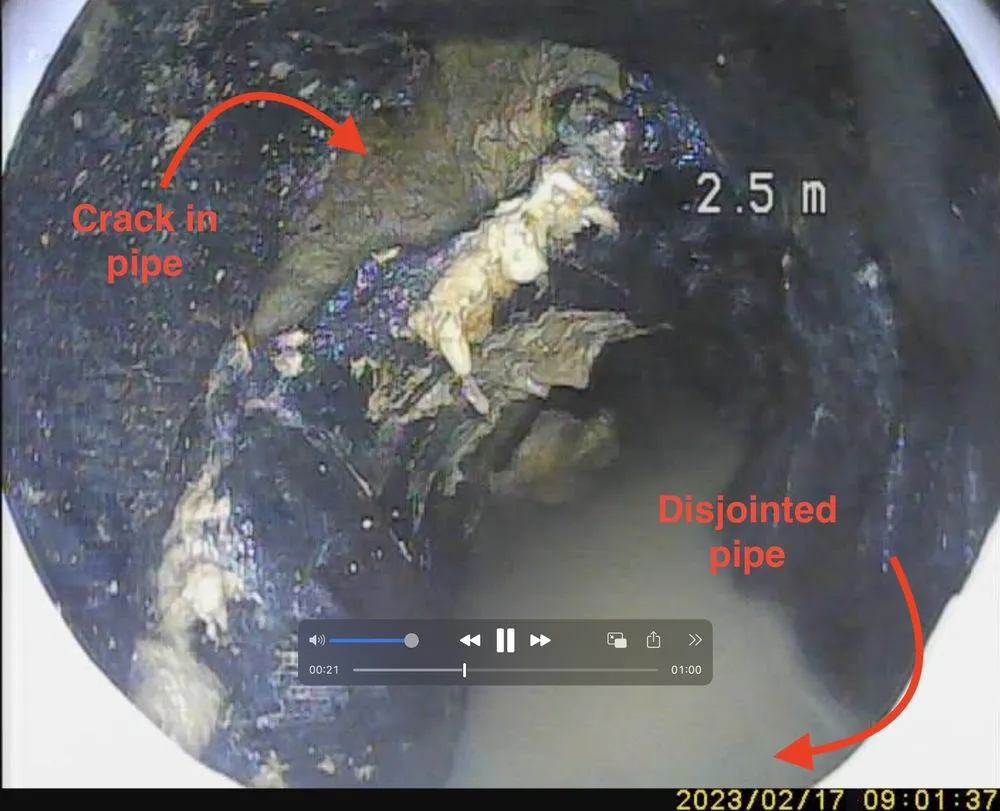 Slide of Garden State