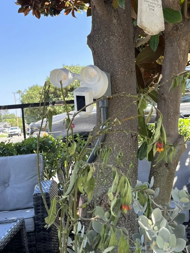 Slide of Garibays Elite Electric