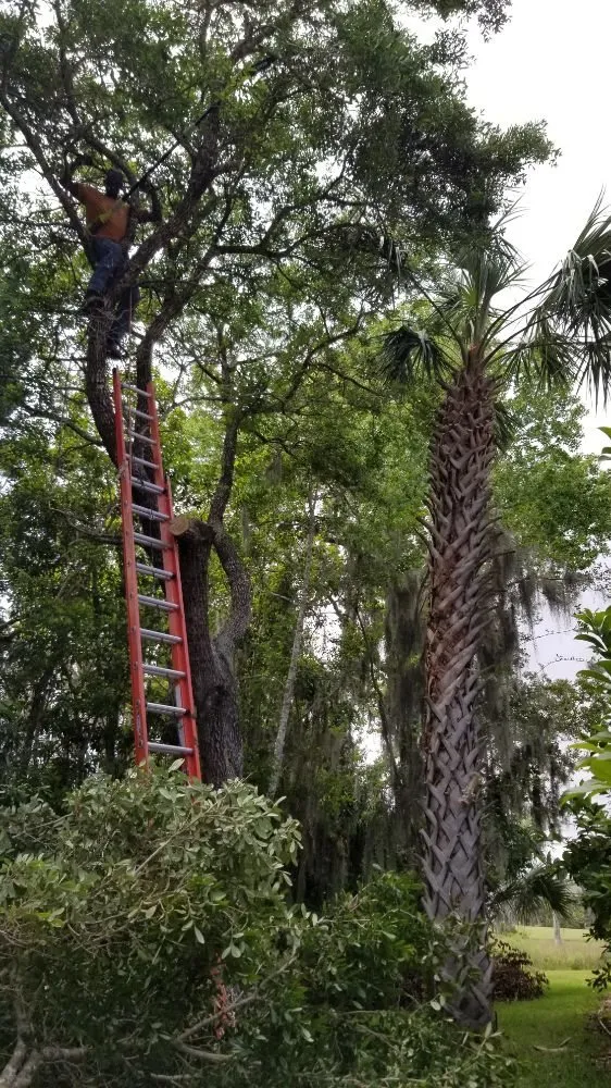 Expert outlet and switch repair experts serving ,  - Gary DePalma's Handyman Services