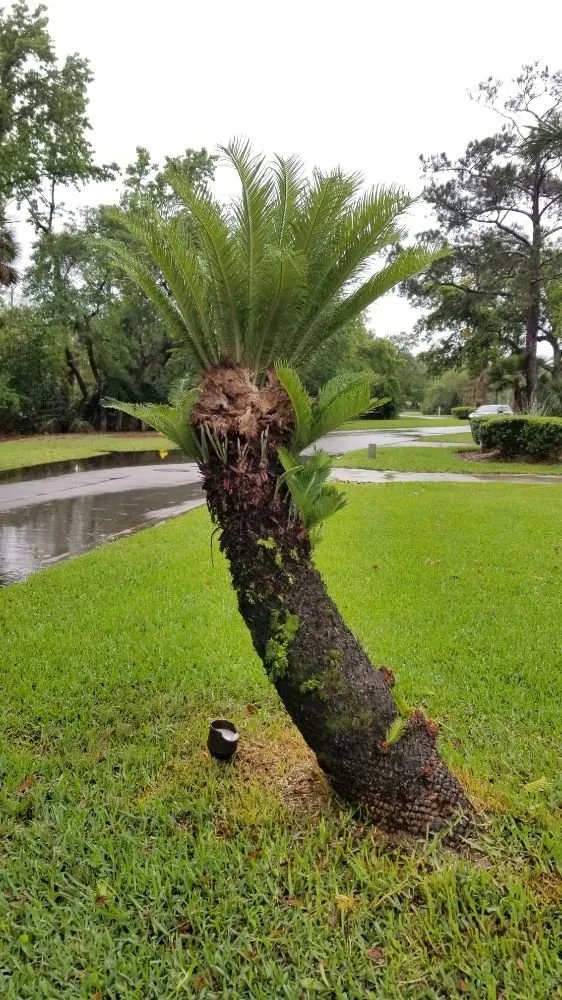 Emergency outlet and switch repair service in ,  - Gary DePalma's Handyman Services