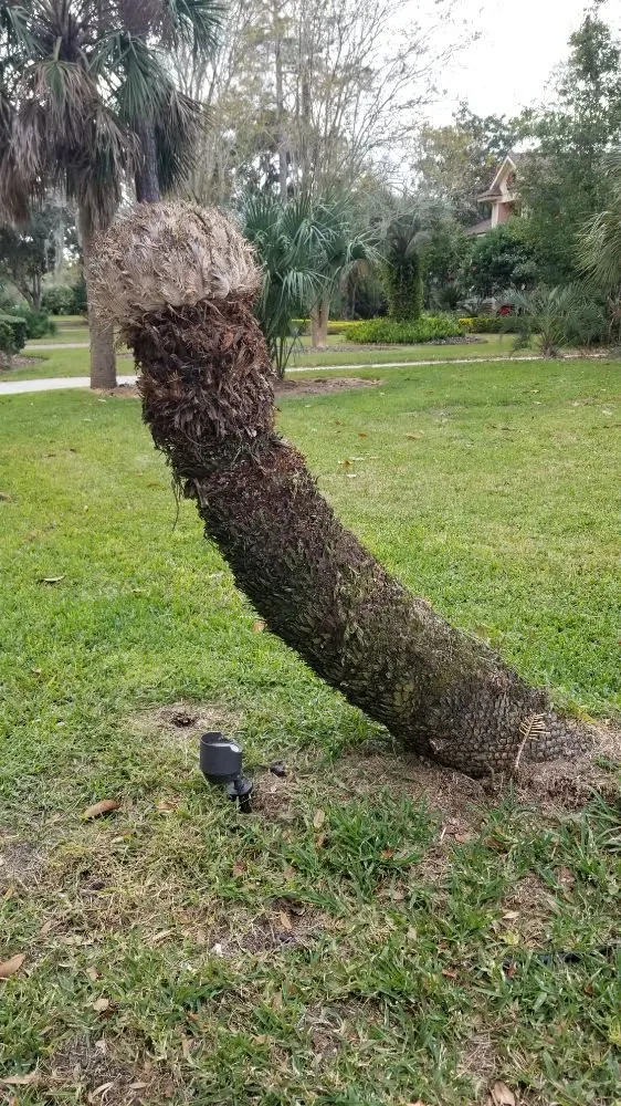 Affordable outlet and switch repair service in ,  - Gary DePalma's Handyman Services