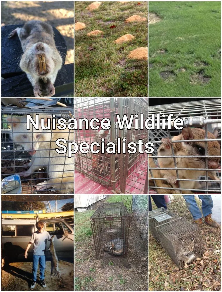 Slide of Gary DePalma's Handyman Services