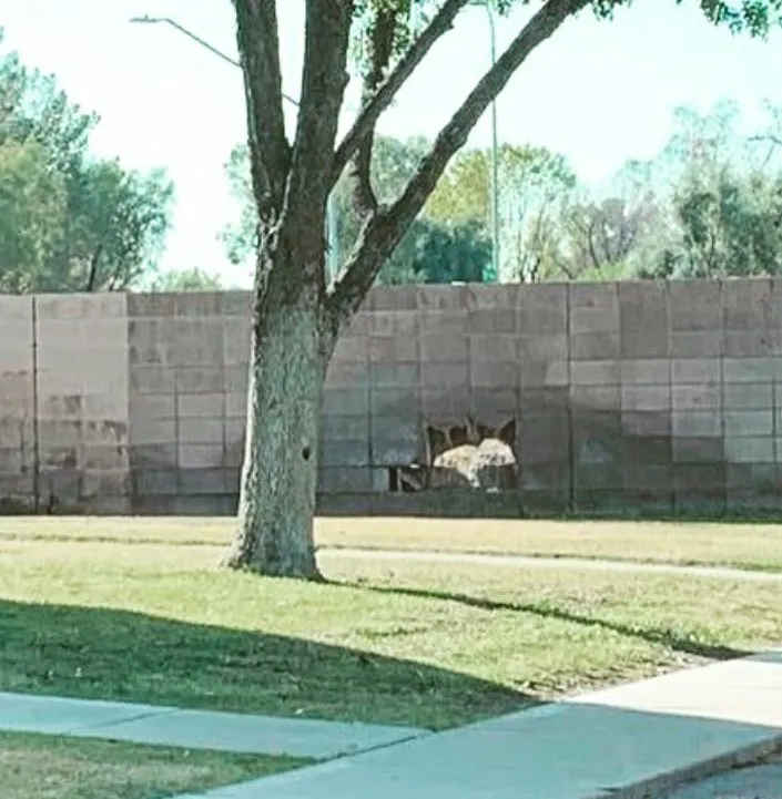 Slide of GB Contracting