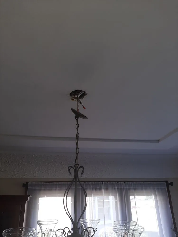 Reliable electrician providing electrical repair in Sheffield Village, OH - GCS Electric
