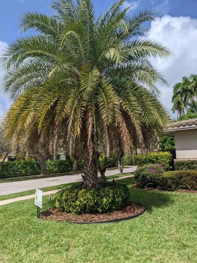 Slide of Ge Service Jobs