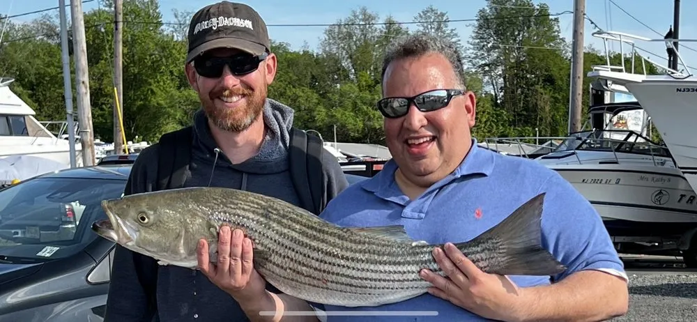 Slide of Gecko Construction Group