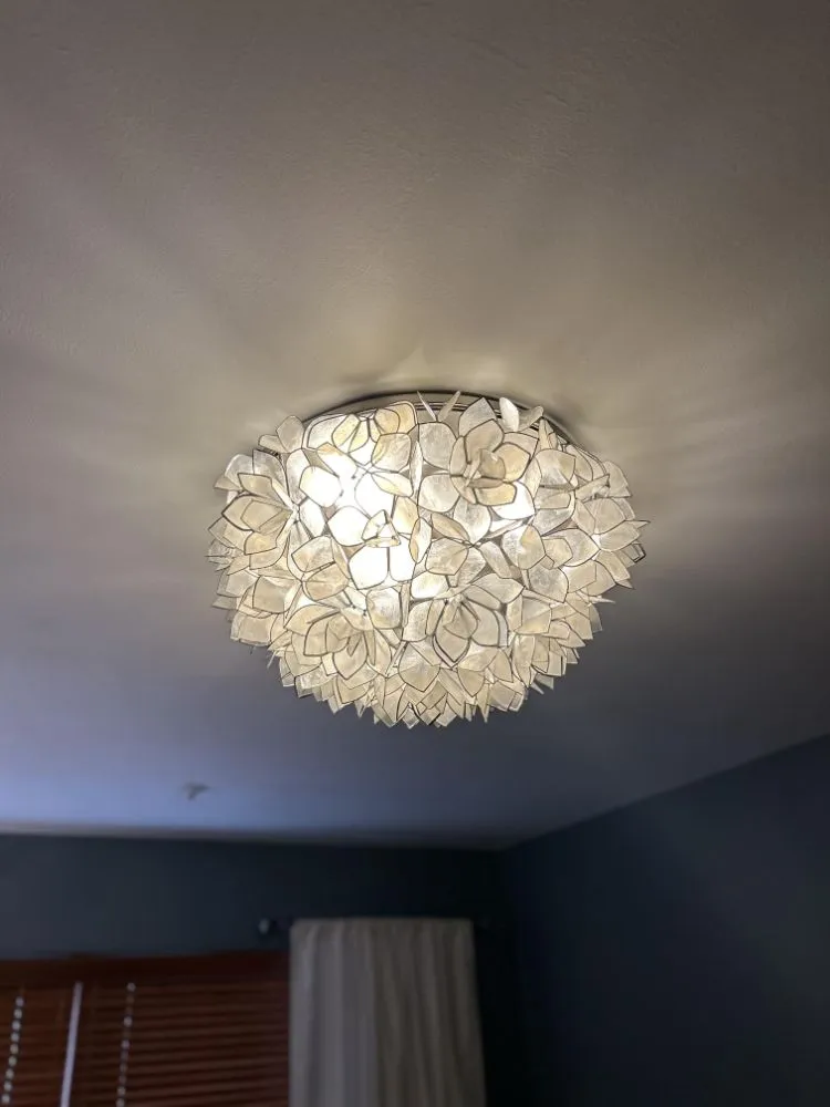 Slide of Geib's Electric