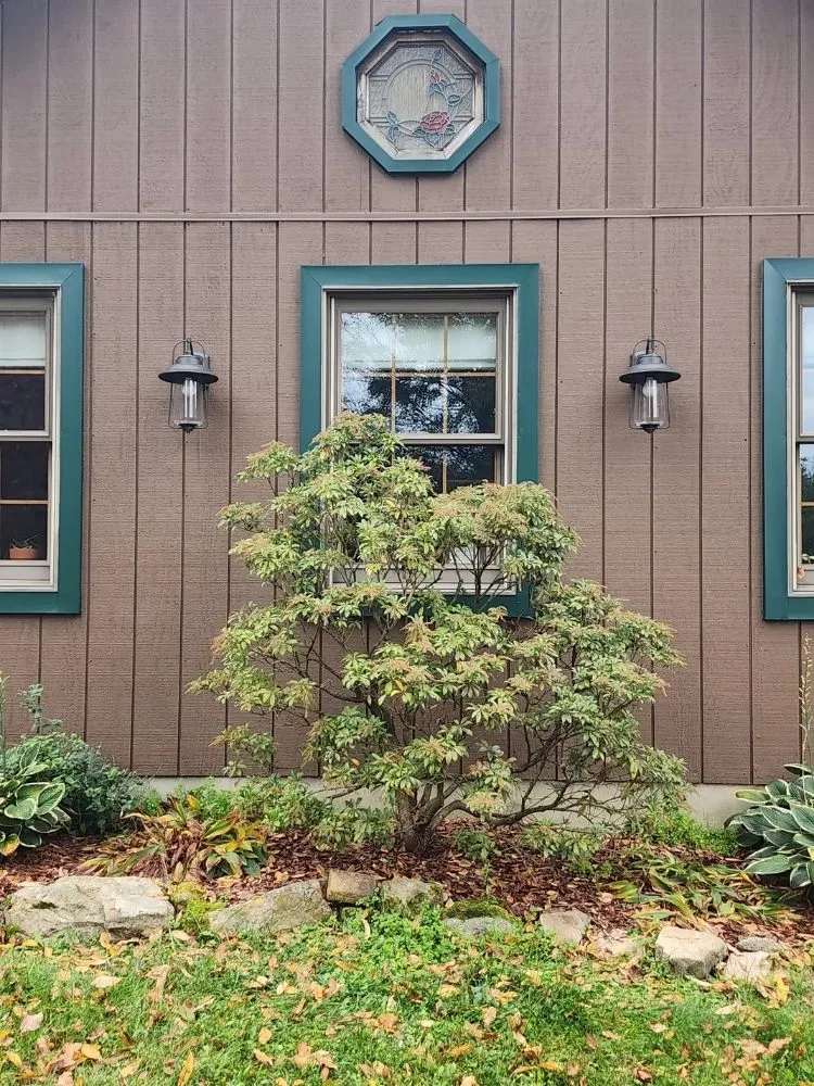 Slide of Geib's Electric