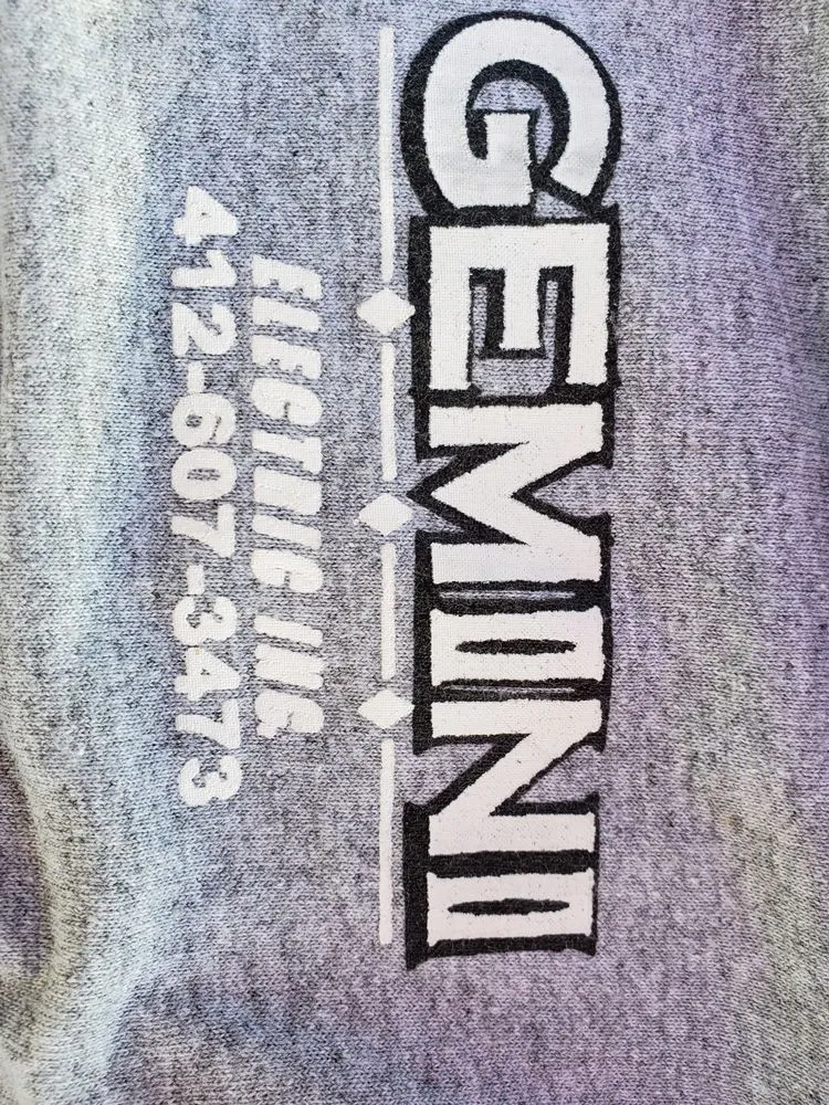 Slide of Gemini Electric Inc.