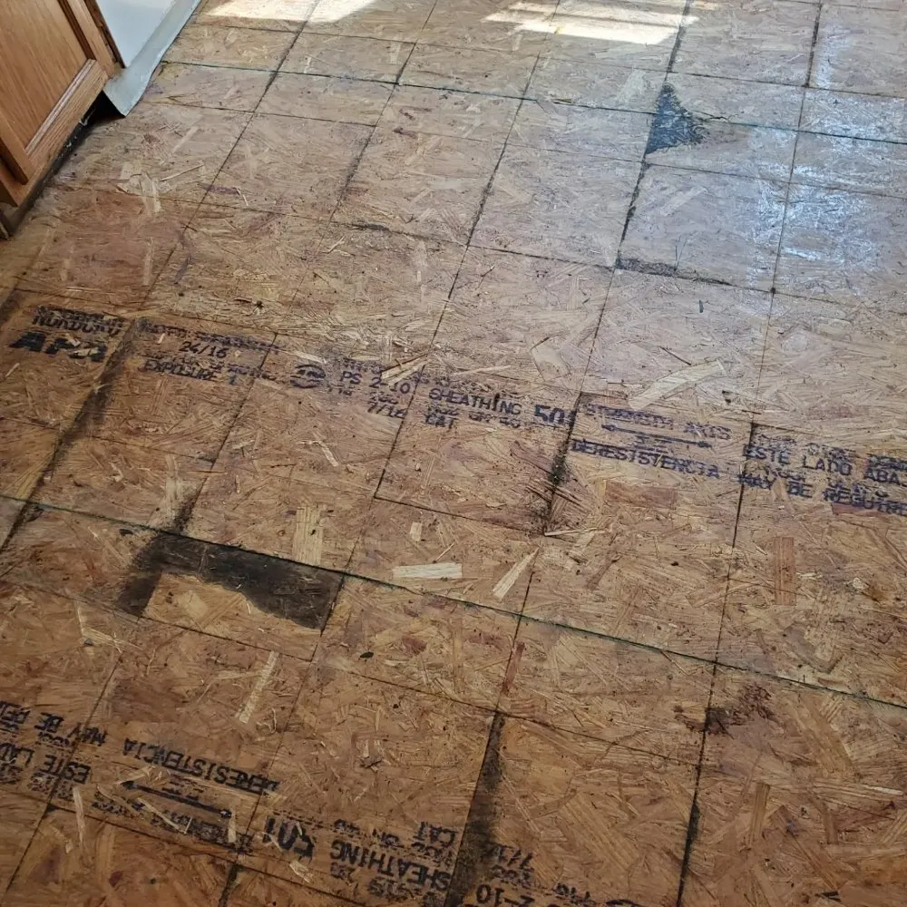 Slide of Gemini Versatility