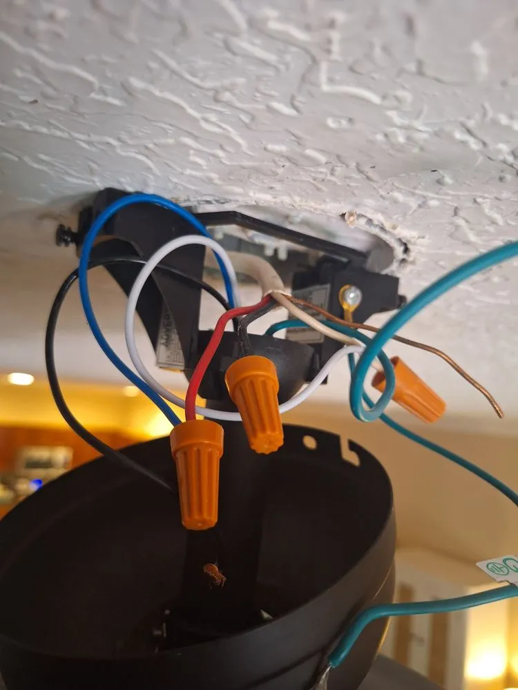 Expert lighting installation service in Tampa Bay, FL - General Services Handyman
