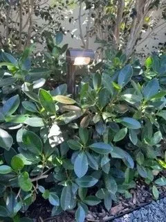 Slide of Generation Electrical Services