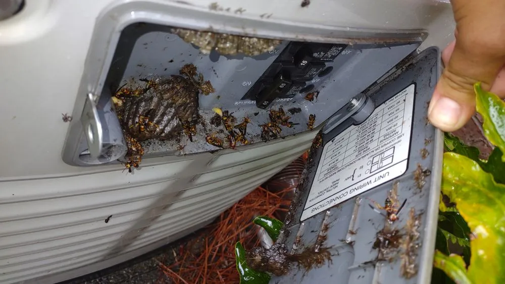 Slide of Generator Lifeline