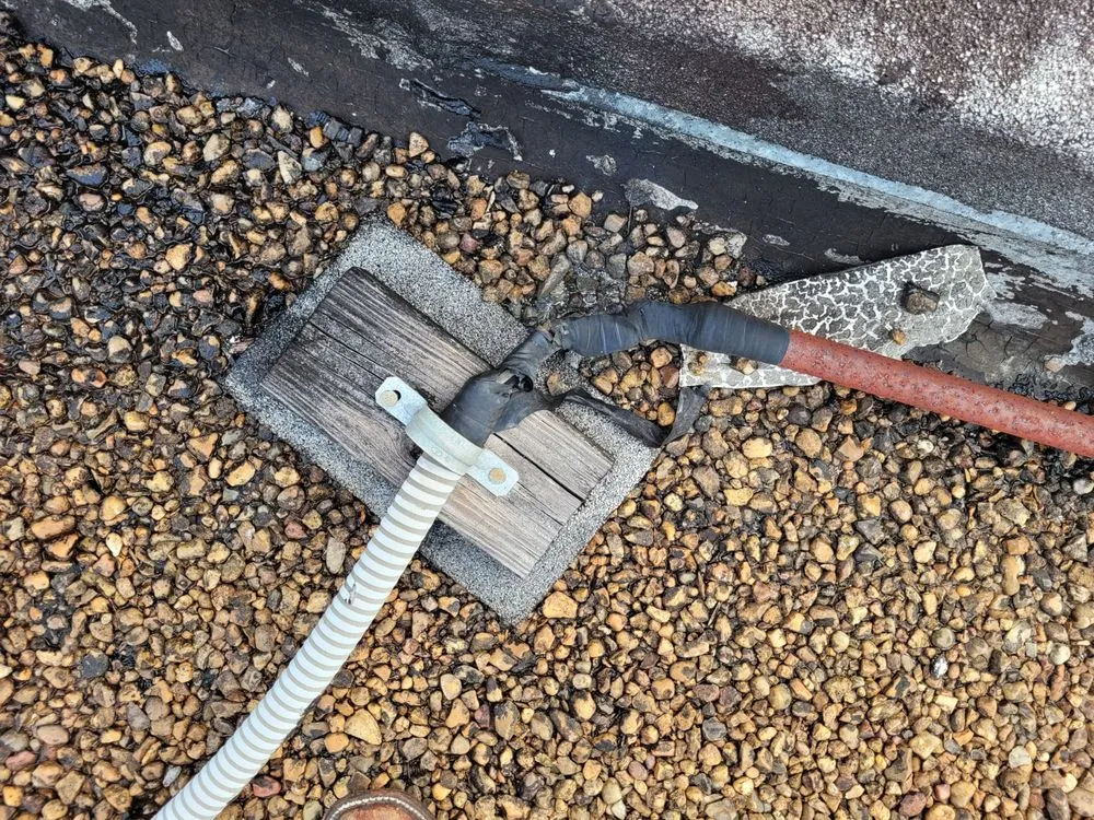 Slide of Gentlemen's Electric