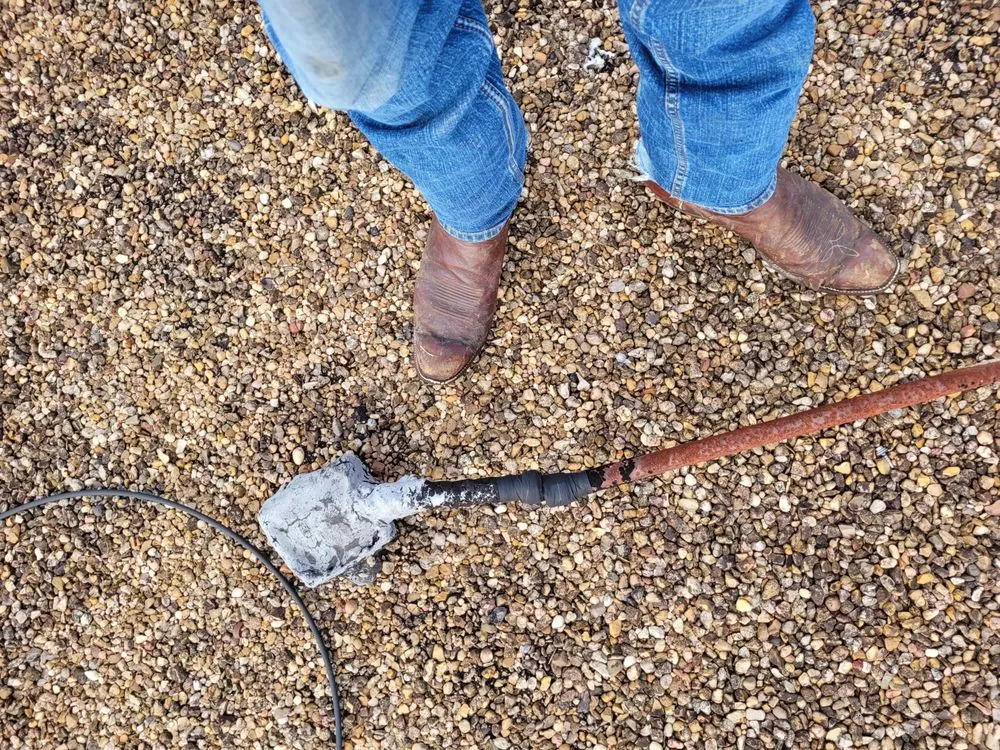 Slide of Gentlemen's Electric