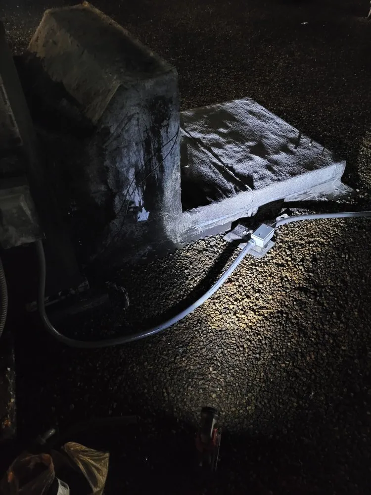 Slide of Gentlemen's Electric