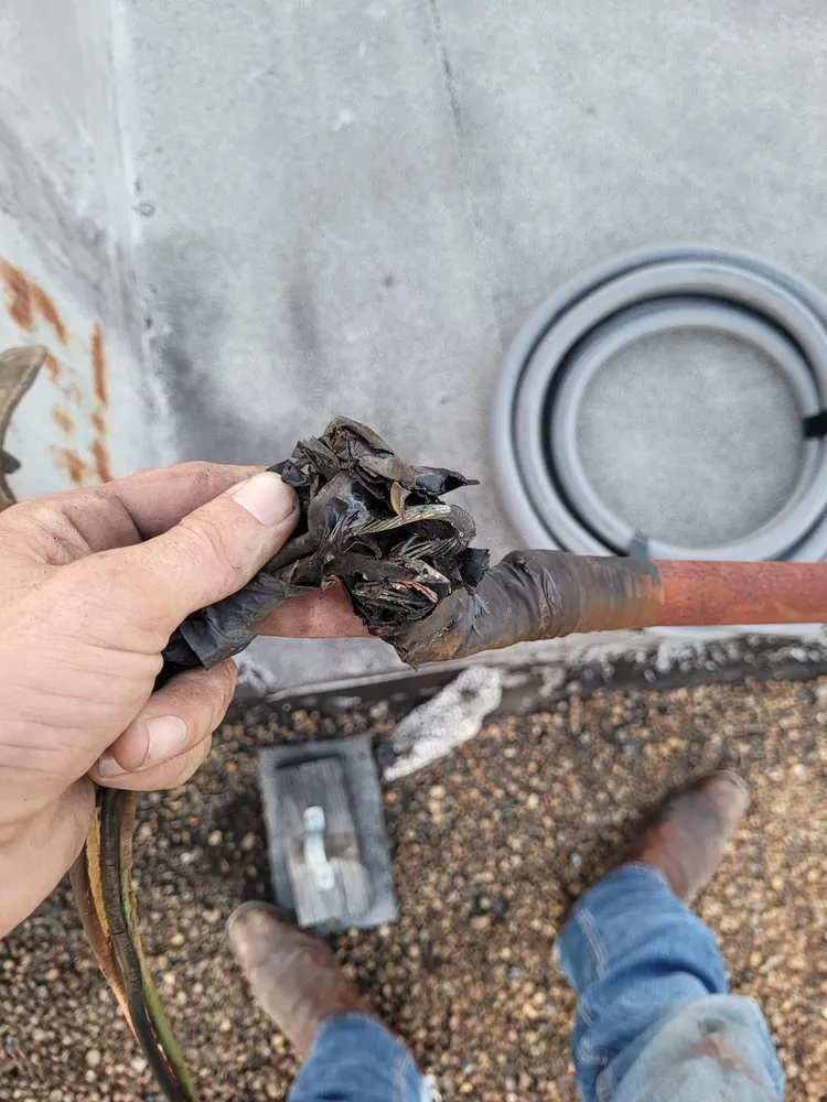 Slide of Gentlemen's Electric