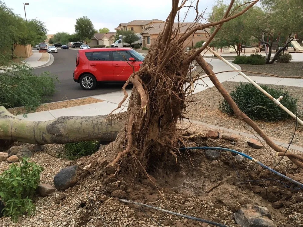 Slide of George Brazil Plumbing & Electrical