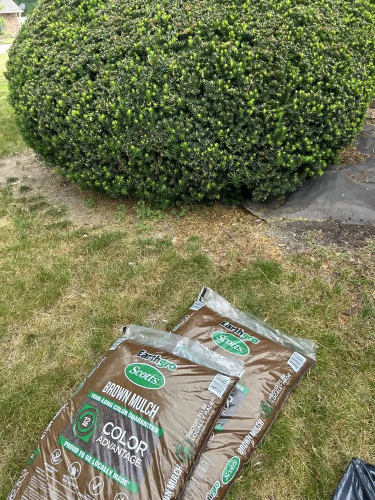 Licensed electrician providing electrical repair in , 