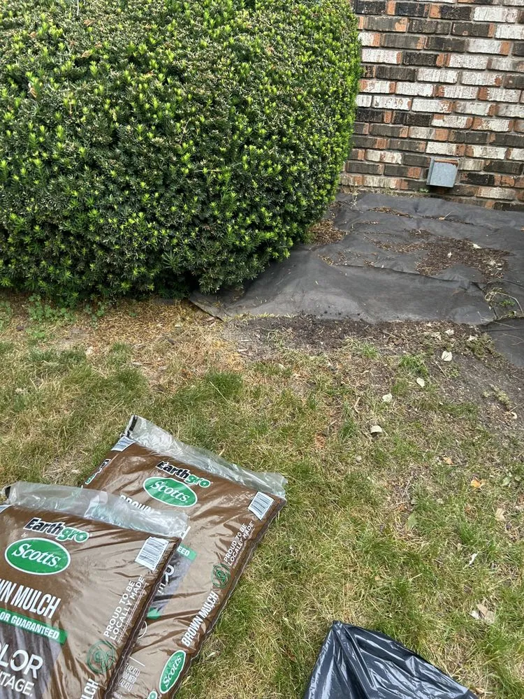 Certified outlet and switch repair service in ,  - George’s Home Improvement