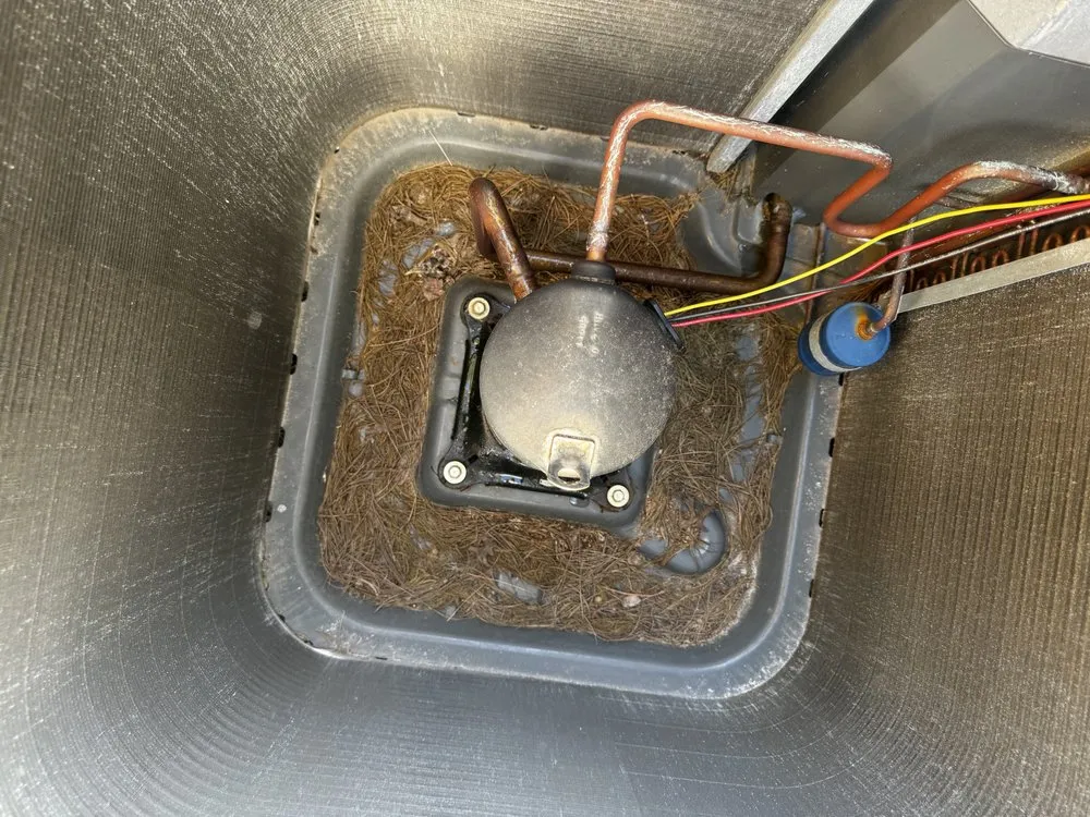 Licensed outlet and switch repair service in Egg Harbor Township, NJ - Gesser Handyman