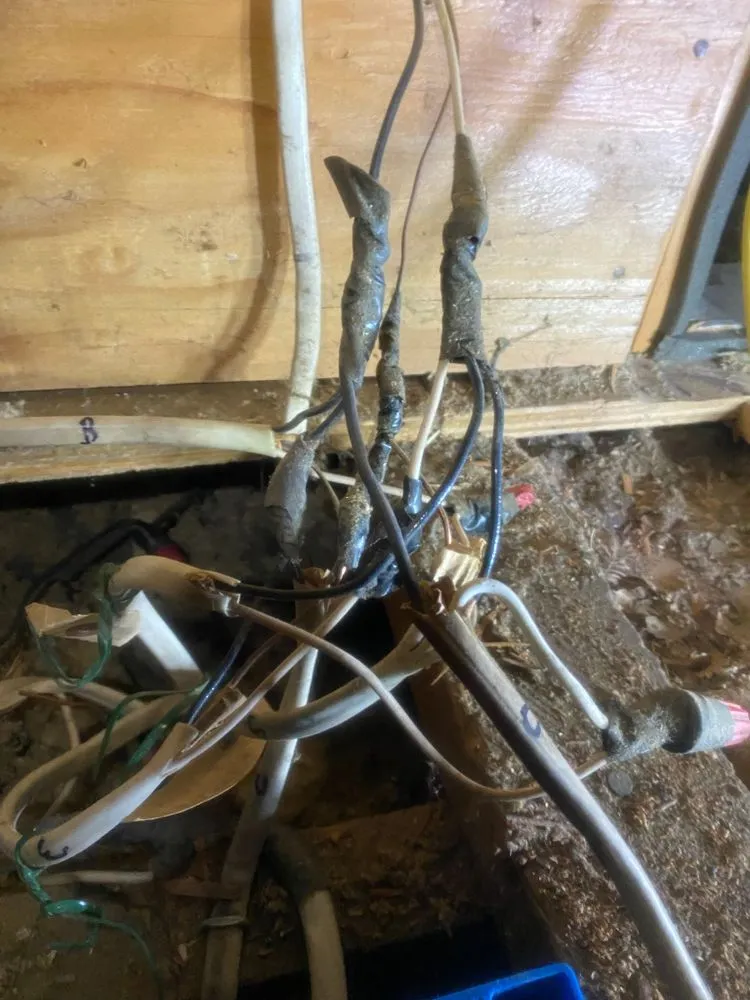 Slide of GF Electric