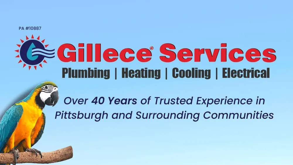 Slide of Gillece Services