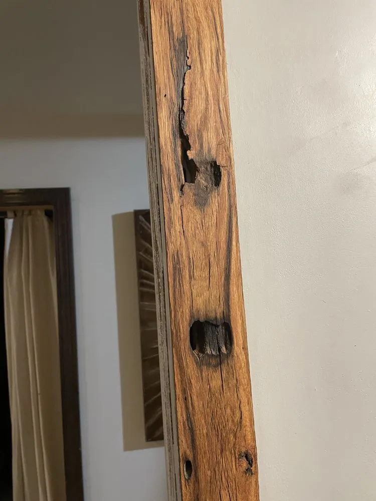 Slide of Glassy Whittle Threads