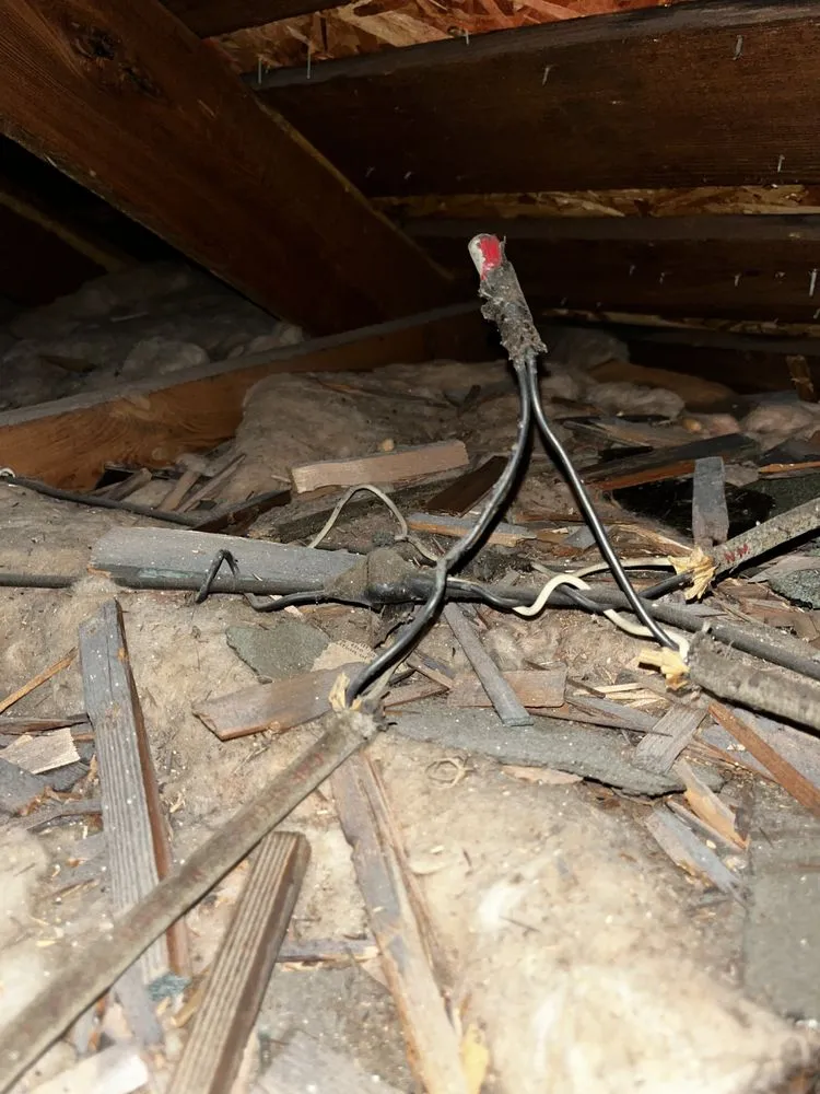 Slide of Glassy Whittle Threads