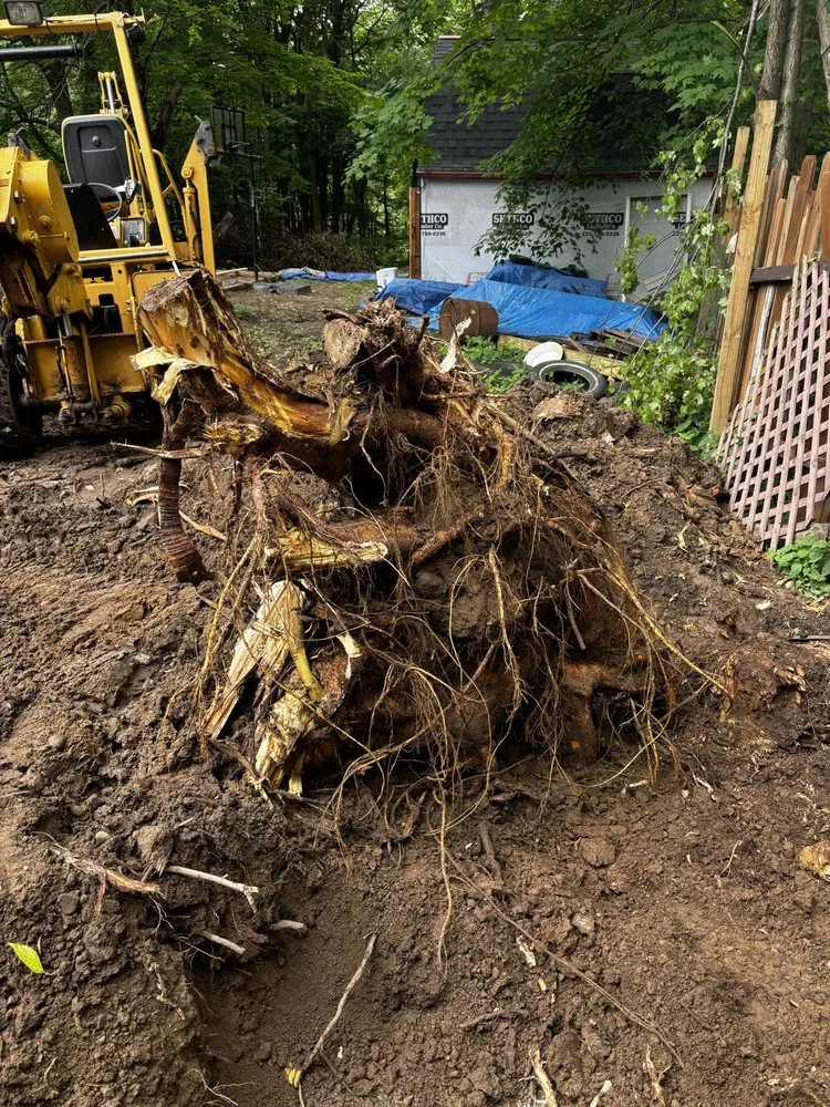 Slide of Glassy Whittle Threads