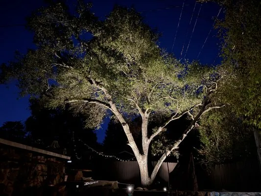 Globecast Electrical Services