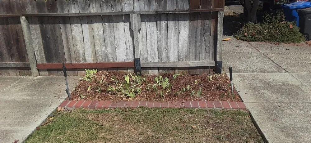 Trusted electrician providing emergency electrical service in , 